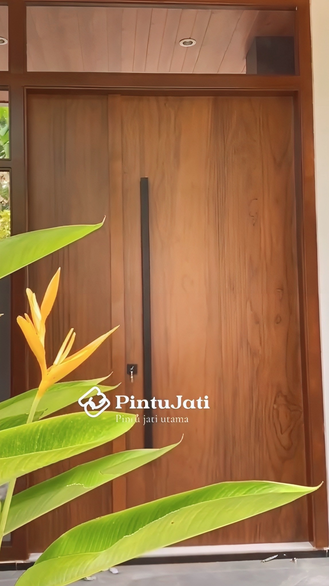 Pintu Jati premium