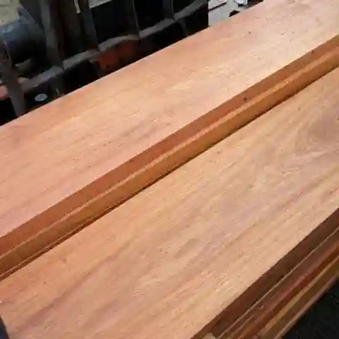 Mengenal Apa Itu Kayu Jati Belanda