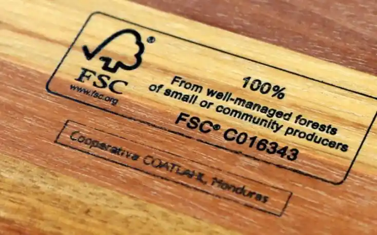 Apa Itu Sertifikasi FSC (Forest Stewardship Council) untuk Kayu Jati?