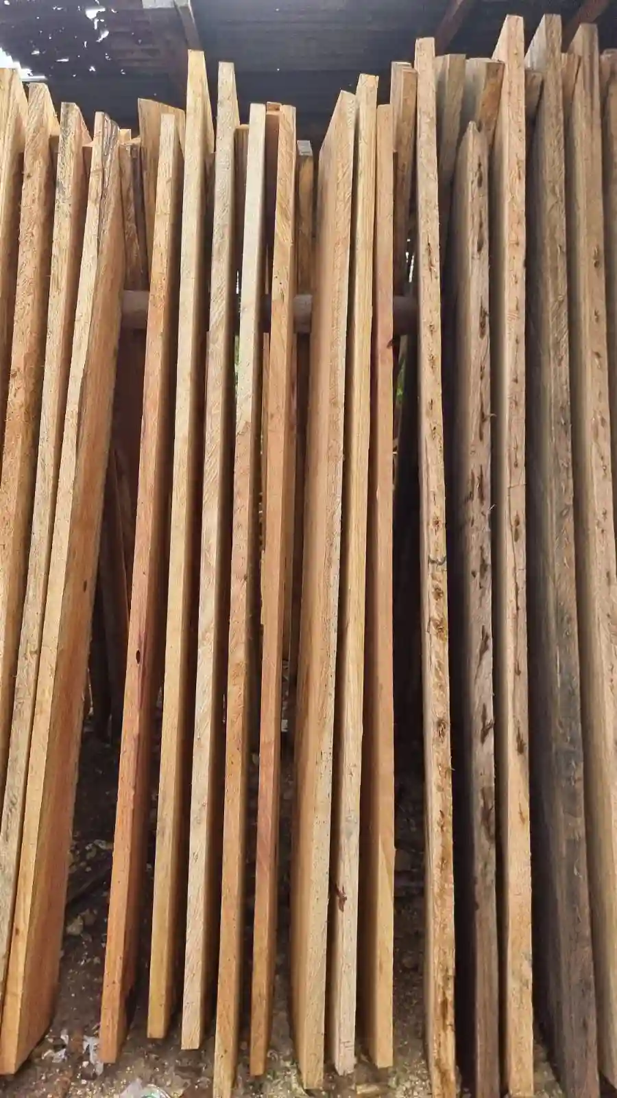 Perawatan Kayu Jati untuk Outdoor